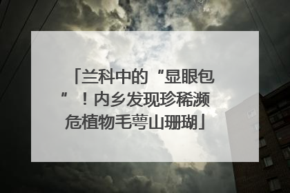兰科中的“显眼包”！内乡发现珍稀濒危植物毛萼山珊瑚